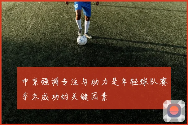 申京强调专注与动力是年轻球队赛季末成功的关键因素