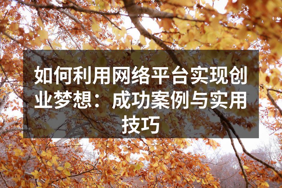 如何利用网络平台实现创业梦想：成功案例与实用技巧